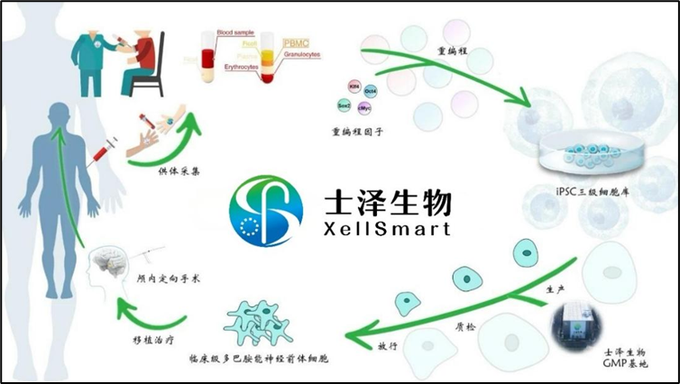 1750988900444015692.png 2567fb972b35ceb73293303537cee50d.png